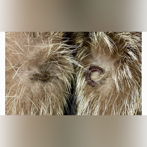 PHIL M STUPP RACCOON FUR COAT CHOCOLATE BROWN & CREAM GENUINE ❄️🎄❤️‍🔥 - Picture 6 of 8